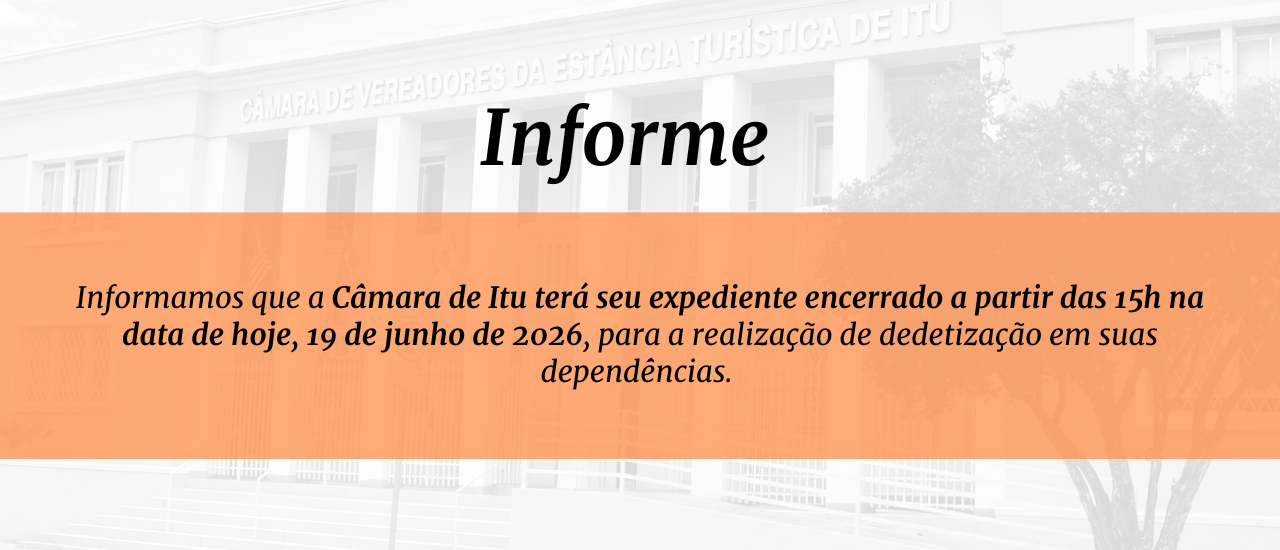 Imagem do slide